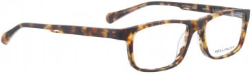 BELLINGER DASH glasses in Matt Brown