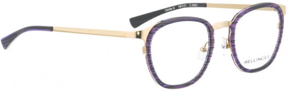BELLINGER CIRCLE-X glasses in Gold