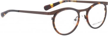 BELLINGER CIRCLE-7 glasses in Tortoise