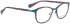 BELLINGER CIRCLE-5 glasses in Turquoise Purple