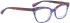 BELLINGER BROWS-2 glasses in Blue Purple