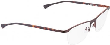 BELLINGER AIM glasses in Brown