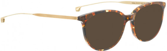 ENTOURAGE OF 7 HAILEY sunglasses in Brown Pattern