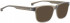 ENTOURAGE OF 7 CONNOR sunglasses in Brown Transparent