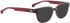 ENTOURAGE OF 7 BLAKELY sunglasses in Red