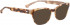ENTOURAGE OF 7 ARCILLA sunglasses in Brown Pattern