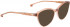 ENTOURAGE OF 7 ALEKSANDRA sunglasses in Transparent