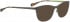 BELLINGER WHISPER sunglasses in Brown