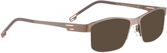 BELLINGER VOSS-2 sunglasses in Mocca Brown