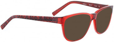 Bellinger & Sunglasses - Buy Online - SpeckyFourEyes