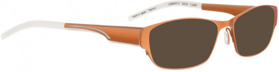 BELLINGER SUBWAY-5 sunglasses in Metal Orange