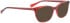 BELLINGER SISSA sunglasses in Brown Red Pattern