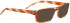 BELLINGER SALTO-2 sunglasses in Light Brown
