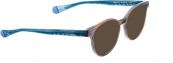 BELLINGER PATROL-100 sunglasses in Brown Transparent