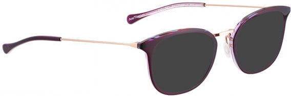 BELLINGER LESS1891 sunglasses in Aubergine Transparent