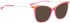 BELLINGER LESS1887 sunglasses in Pink Transparent