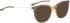 BELLINGER LESS1841 sunglasses in Brown Transparent