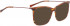 BELLINGER LESS1815 sunglasses in Brown Pattern