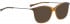 BELLINGER LESS1813 sunglasses in Brown Transparent