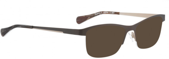 BELLINGER GOLDLINE-3 sunglasses in Brown