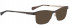 BELLINGER GOLDLINE-3 sunglasses in Brown