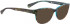 BELLINGER FLORAN sunglasses in Brown Pattern
