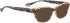 BELLINGER FERN sunglasses in Brown Pattern