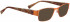BELLINGER DITZEL sunglasses in Copper