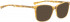 BELLINGER COZY sunglasses in Gold Pattern