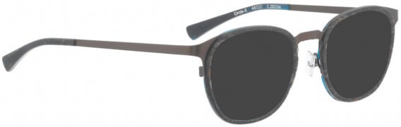 BELLINGER CIRCLE-X sunglasses in Brown