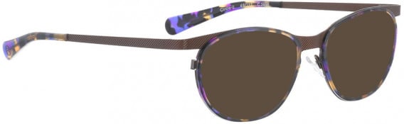 BELLINGER CIRCLE-8 sunglasses in Brown