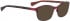 BELLINGER CIRCLE-2 sunglasses in Wine Red