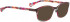 BELLINGER CIRCLE-2 sunglasses in Light Brown