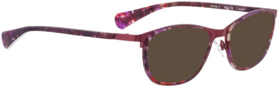 BELLINGER CIRCLE-1 sunglasses in Purple