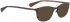 BELLINGER CIRCLE-1 sunglasses in Brown