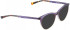 BELLINGER CHILL sunglasses in Purple
