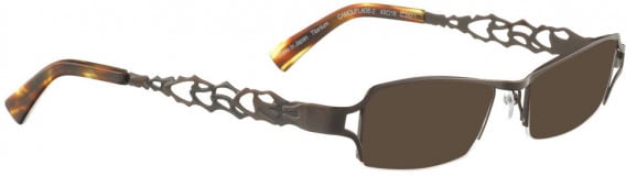 BELLINGER CAMOUFLAGE-2 sunglasses in Shiny Brown