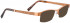 BELLINGER BUMBLE-2 sunglasses in Copper