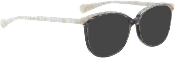 BELLINGER BROWS-5 sunglasses in Dark Brown