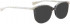BELLINGER BROWS-5 sunglasses in Dark Brown