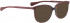 BELLINGER BROWS-5 sunglasses in Red Pattern