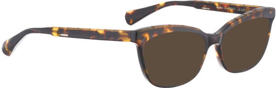 BELLINGER BROWS-2 sunglasses in Brown Pattern