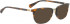 BELLINGER BRAVE-4 sunglasses in Brown Pattern