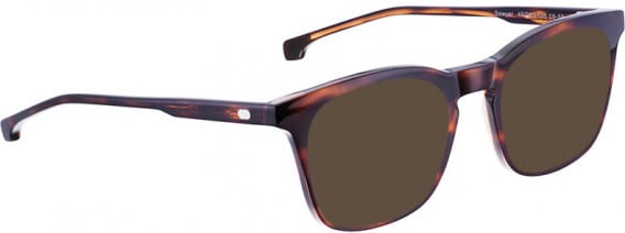 ENTOURAGE OF 7 SAWYER sunglasses in Brown