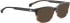 ENTOURAGE OF 7 REESE-2 sunglasses in Brown/Clear Brown