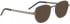 ENTOURAGE OF 7 OAKVILLE sunglasses in Brown
