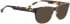 ENTOURAGE OF 7 MELINA sunglasses in Brown Pattern