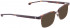 ENTOURAGE OF 7 JAMES sunglasses in Brown