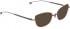 ENTOURAGE OF 7 ICONS-7007 sunglasses in Brown