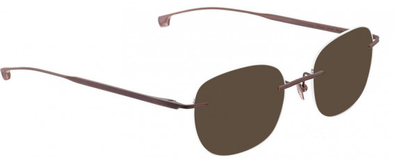 ENTOURAGE OF 7 ICONS-7006 sunglasses in Brown